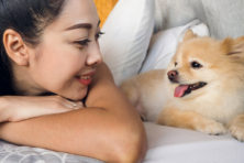 ペットの自宅葬