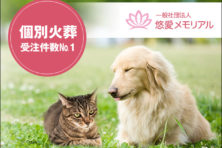 悠愛メモリアル