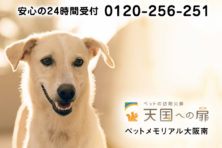 天国への扉 ペットメモリアル大阪南