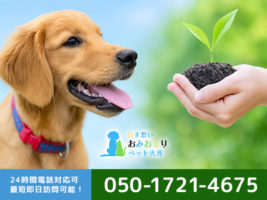 おみおくりペット火葬