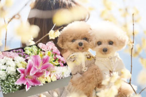 サービスが充実