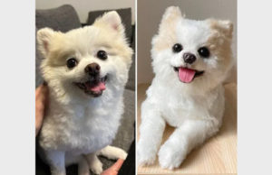 手作りぬいぐるみ