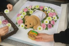 個別火葬プレミアム　16,500  円～  (税込)